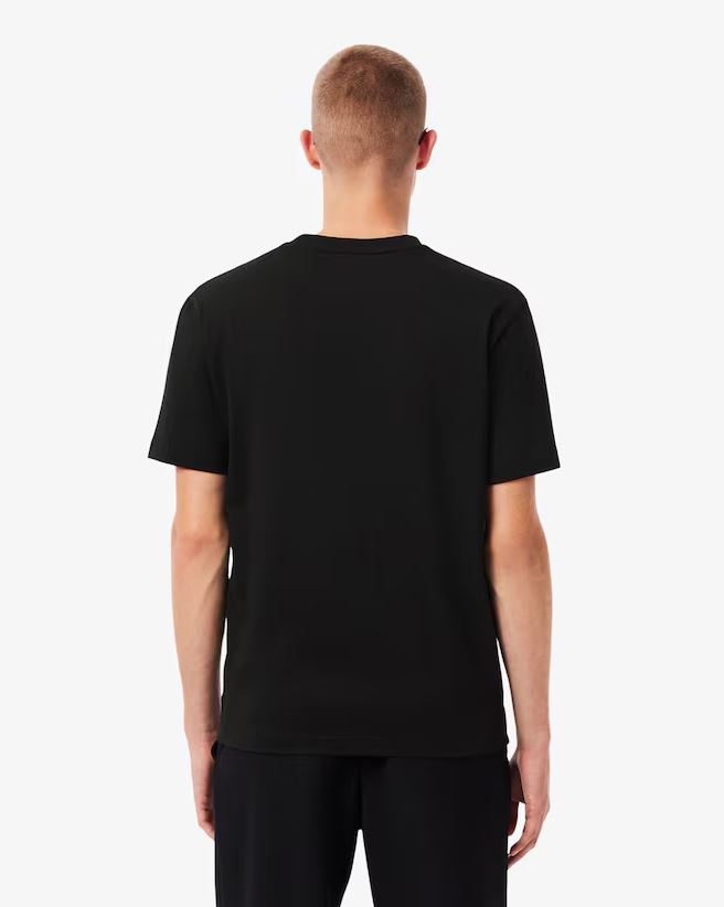 Camiseta Lacoste Blocos De Cores