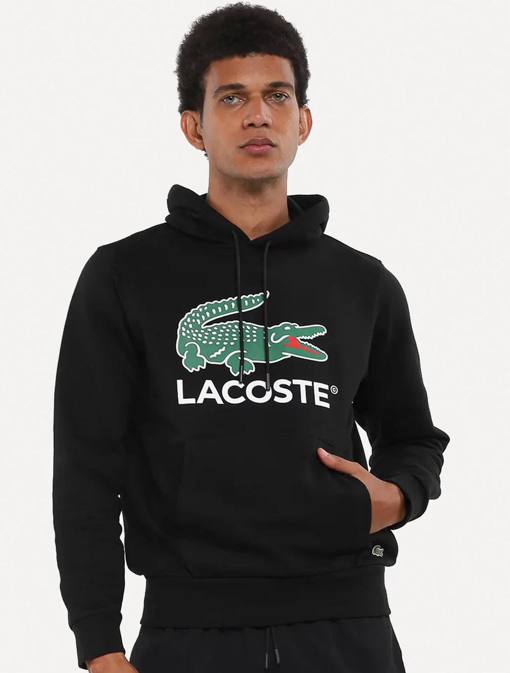 Blusa Moletom Lacoste Sh0801